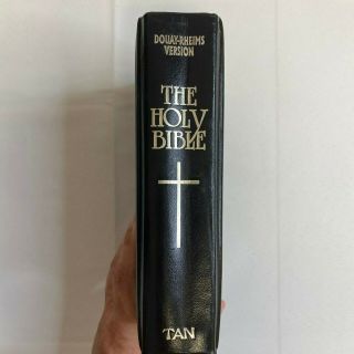 THE HOLY BIBLE Douay Rheims Version 1989 Tan Leather 2