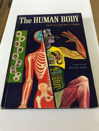 The Human Body: What It Is And How It By Mitchell Wilson
