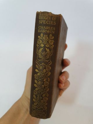 The Origin Of The Species By Charles Darwin 1902 2nd Edition Collectable Book