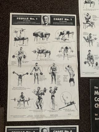 The Weider System Muscle Building Course Book 6 Exercise Wallcharts Rare Vintage 3