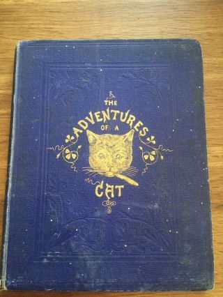Antique Victorian 1857 1st Edition The Adventures Of A Cat Alfred Elwes Fine Too