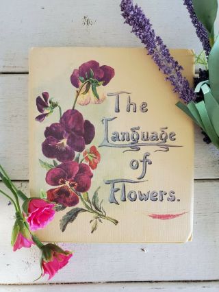 The Language Of Flowers Meaning Gift Book Vintage Illustrated Field Guide Nature