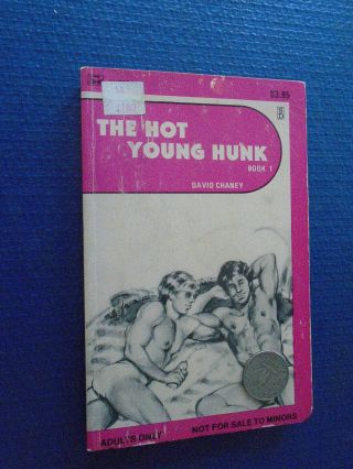 The Hot Young Hunk By David Chaney Gay Pulp Erotic Fiction Surey Books 1985