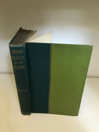 The Common Objects Of The Sea Shore By J G Wood 1894