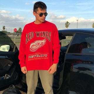 Detroit Red Wings Vintage 90s Nhl Hockey Sweatshirt Sweater Xl 4t Dp