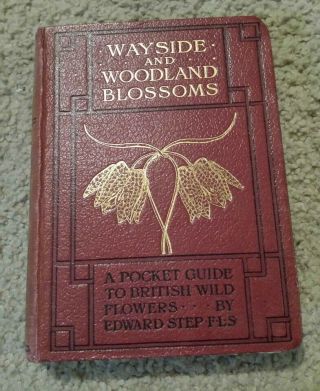 Wayside And Woodland Blossoms: A Pocket Guide To British Wild - Flowers For The.