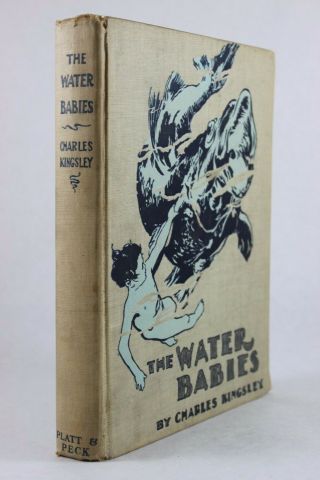 The Water Babies - Charles Kingsley 1900 Illustrated Hardcover