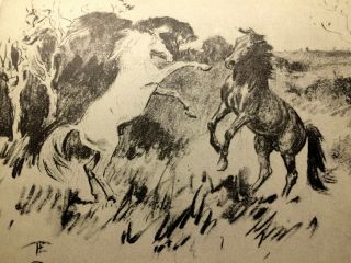 Elizabeth Sprigge Pony Tracks 1st First Edition 1936 Horse Pony Lionel Edwards