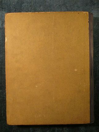 RARE ALICE ' S ADVENTURES IN WONDERLAND MCLOUGHLIN BROS 1903 GREAT COVER ART 3