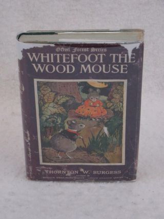 Thornton Burgess Whitefoot The Wood Mouse Green Forest Series Harrison Cady