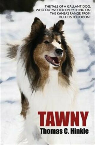 Tawny (paperback Or Softback)