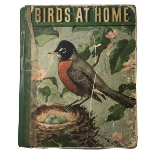 Vintage 1942 Birds At Home Hardcover Book By Marguerite Henry