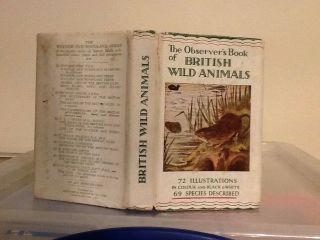 Observers Book Of British Wild Animals 1946