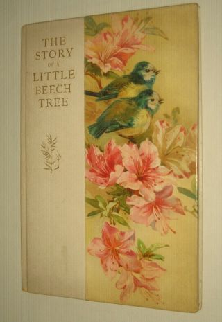Pretty Antique Book The Story Of A Little Beech Tree 1900