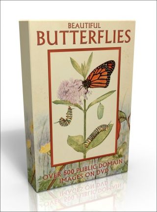 Butterflies - More Than 500 Public Domain Illustrations On Dvd