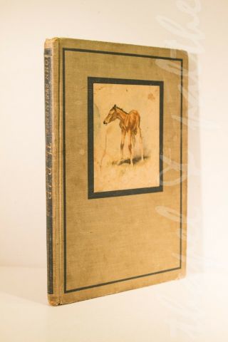 John Steinbeck The Red Pony (hardcover,  1st Illustrated Edition,  1945)