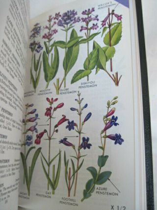 PACIFIC STATES WILDFLOWERS Roger Tory Peterson Field Guide Easton Leather Ed. 2