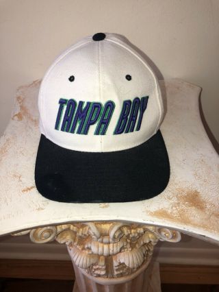 Vtg 90’s Rare Tampa Bay Devil Rays Snapback Hat