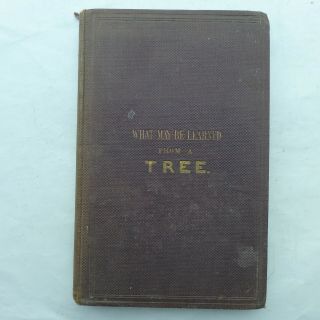 What May Be Learned From A Tree.  1860.  Coultas.  Illustrated