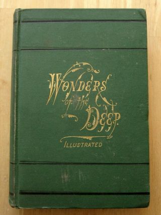 Old 1869/1875 Book First Edition Wonders Of The Deep By M.  Schele De Vere
