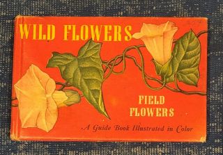 Wildflowers,  Field Flowers,  A Guide Book Illustrated In Color T.  H.  Everett 1945