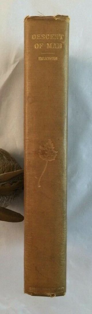 Early Hurst Print Complete In 1 Vol The Descent Of Man By Charles Darwin