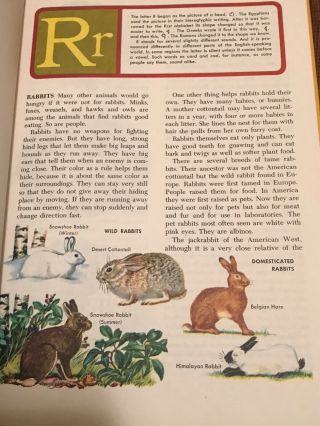 The Golden Book Encyclopedia Volume 13 Rabbits To Signaling 1970 3