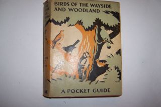 Birds Of The Wayside And Woodland - Coward & Blyton - 1949
