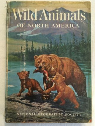 Wild Animals Of North America Vintage Book From 1960.  By National Geographic