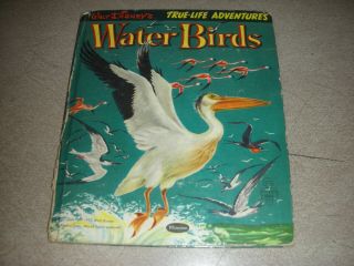 Walt Disney’s True Life Adventures Water Birds Whitman Tell A Tale Book