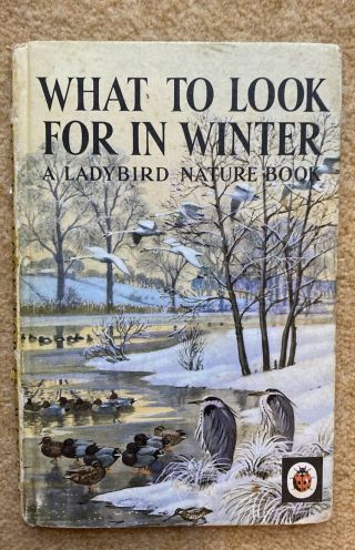 What To Look For In Winter - Vintage Ladybird Book - Series 536 - Tunnicliffe