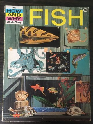 The How And Why Wonder Book Of Fish 1963