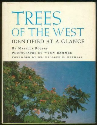 Trees Of The West By Matilda Rogers 1966 With Dj Illustrated By Wynn Hammer