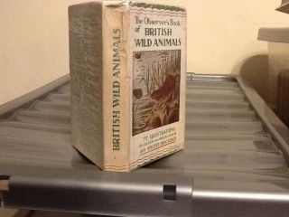Observers Book Of British Wild Animals 1951