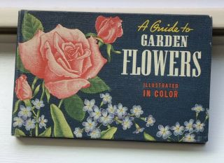 A Guide To Garden Flowers 1945 Hardcover Book By T.  H.  Everett