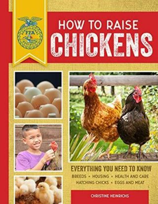 How To Raise Chickens: Everything You Need To Know (ffa)