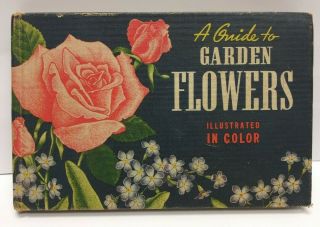 A Guide To Garden Flowers Illustrated In Color Book By Everett & Rudolf Freund