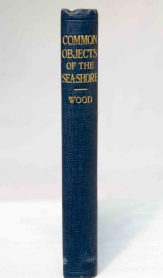 The Common Objects Of The Sea - Shore By Rev J G Wood (hardback 1912)