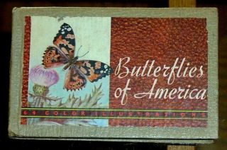 1934 " Butterflies And Moths Of America " By Fazzini,  64 Color Illustrations Vg