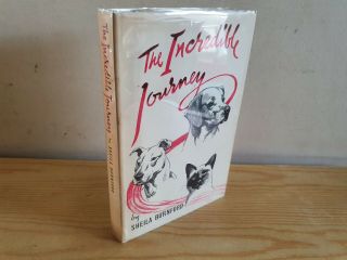 Sheila Burnford The Incredible Journey - 1961 In Dust Jacket