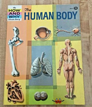The How & Why Wonder Book Of The Human Body By Martin Keen 1961