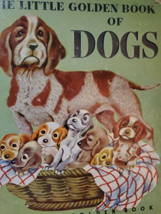 The Little Golden Book Of Dogs By Nita Jones 1952 " A " Edition