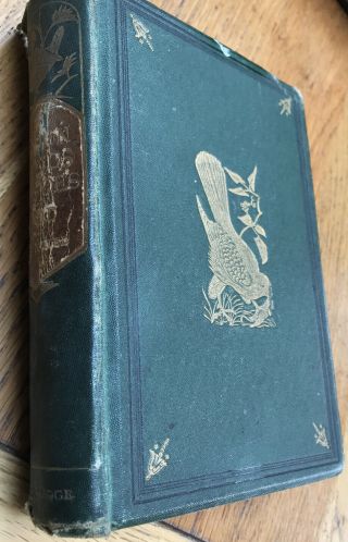 Our Garden Friends And Foes (1864 Rev Wood) First Edition.  Victorian Book