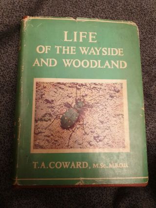 Life Of The Wayside And Woodland By T.  A.  Coward Old Wildlife Book Hardback 1945