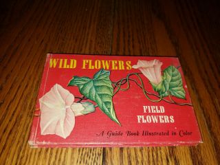 Wild Flowers Field Flowers,  1945 T.  H.  Everett,  Full Color Artwork B Y Freund