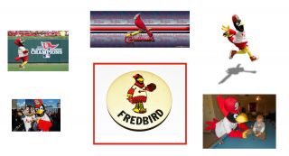 Vintage.  St.  Louis Cardinals.  Fredbird Button.  Item.  Usa Seller.