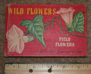 Guide To Wild Flowers,  Field Flowers,  T.  H.  Everett,  Whitman Publishing,  Hc