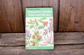 Evergreen Garden Trees And Shrubs By Anthony Huxley 1973