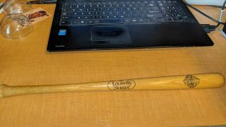Ted Williams Boston Red Sox Hitters Hall Of Fame 16 " Mini Bat