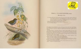 Birds Of Asia - John Gould 1850 Rare Book